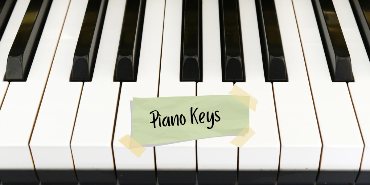turtle Transport grill Label Piano Keys for Beginners - Learn to Play an Instrument with  step-by-step lessons | Simply Blog