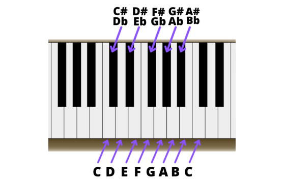 how to read piano notes for beginners